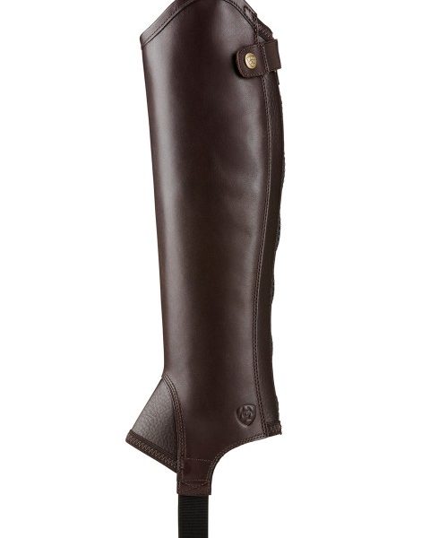 Chaps Ariat Concord | Smooth chocolate