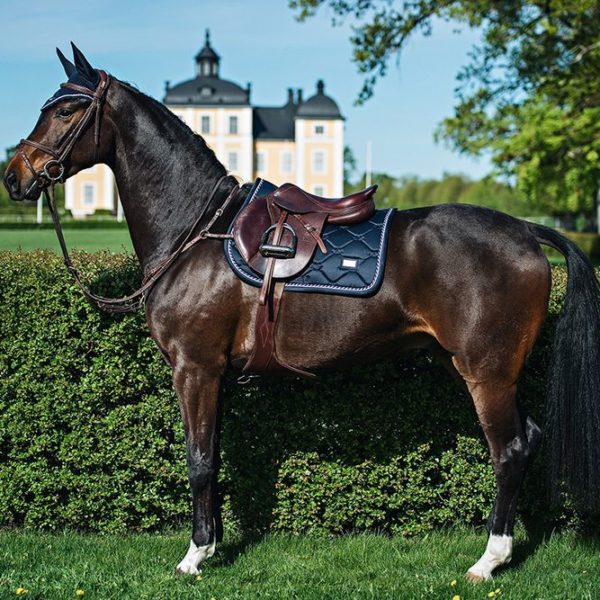 Schabrak hopp Equestrian Stockholm Midnight Blue