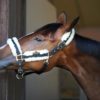 Grimma Kentucky Nylon Sheepskin Halter