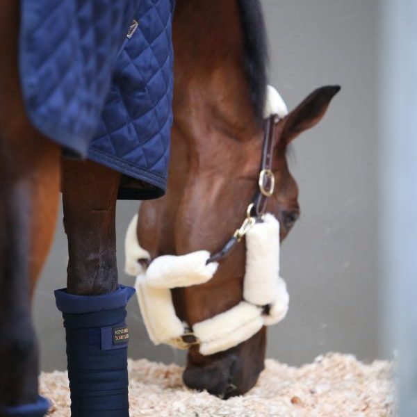Stallbandage Kentucky Horsewear Repellent Bandages | Navy