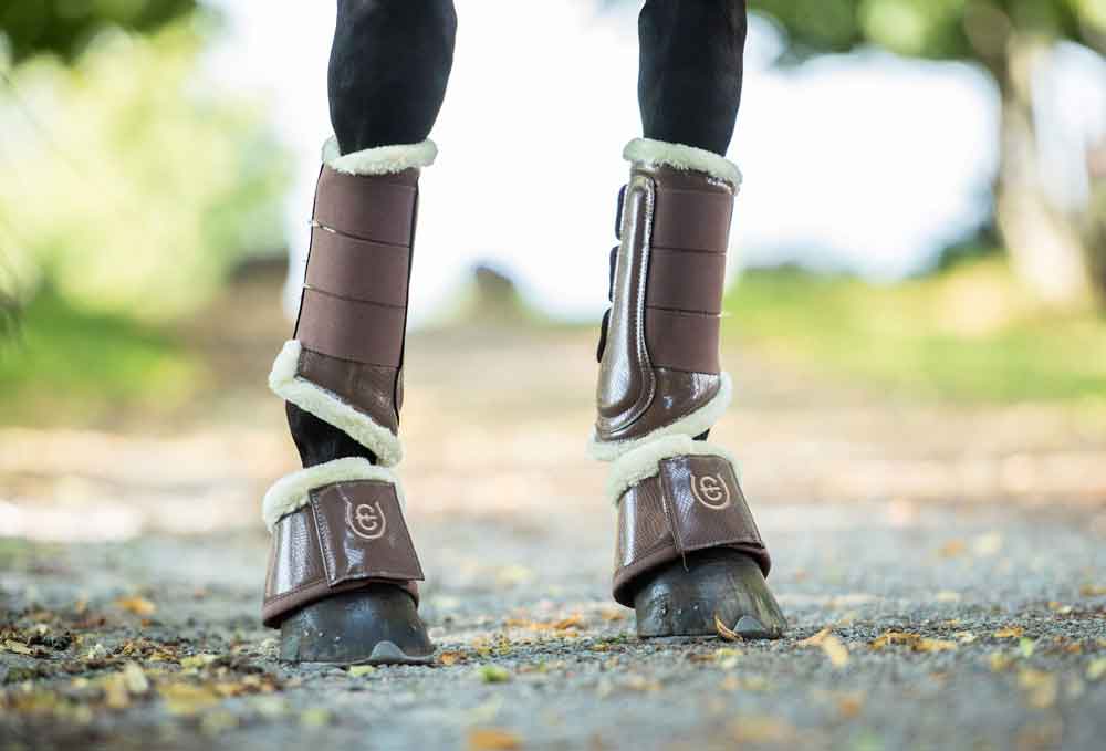 Equestrian Stockholm Bell Boots Benskydd Champagne