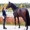 Långa chaps TIB Horse
