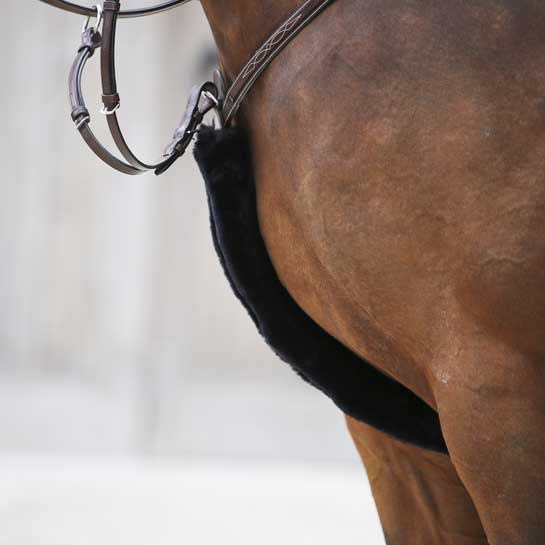 Ludd till bröstplatta Kentucky Horsewear | Brun