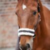 Grimma Walthausen Elegant
