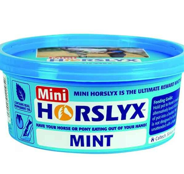 Horslyx Slicksten Mint 650 g