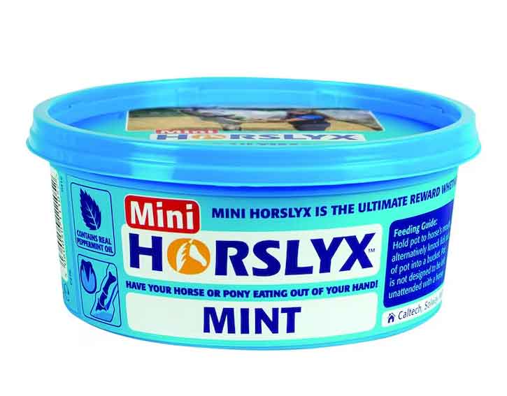 Horslyx Slicksten Mint 650 g