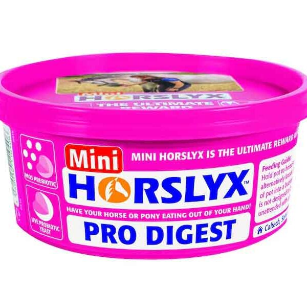 Horslyx Slicksten Pro Digest 650 g