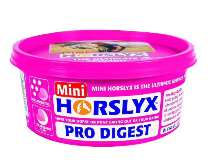 Horslyx Slicksten Pro Digest 650 g