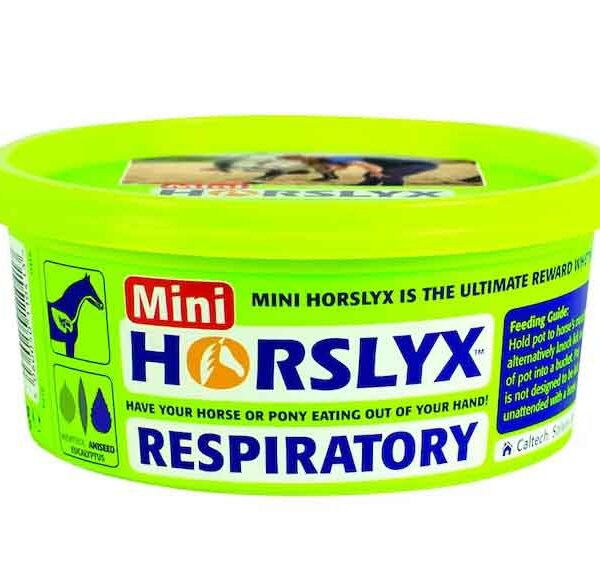 Horslyx Slicksten Respiratory 650 g