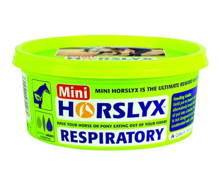 Horslyx Slicksten Respiratory 650 g