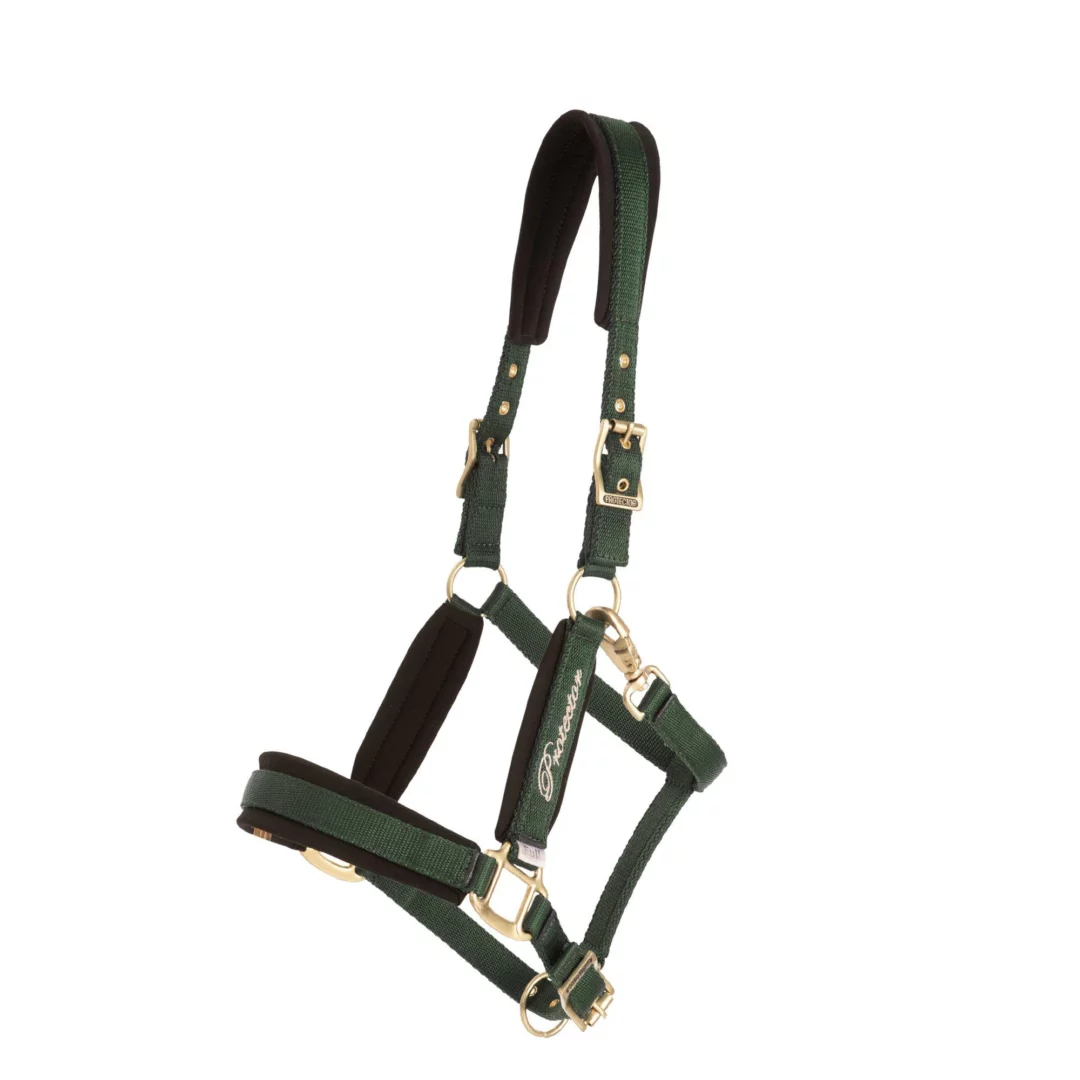 Grimma Protector Comfort