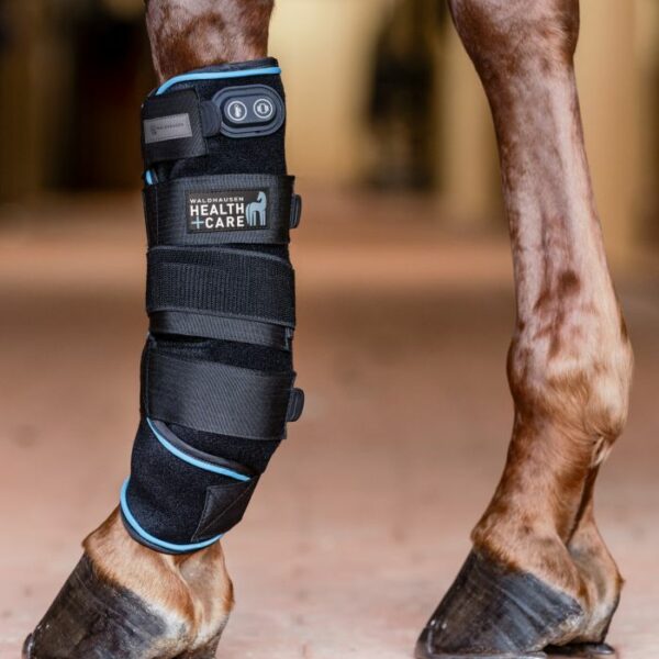 Benskydd Waldhausen Health + Care Boot