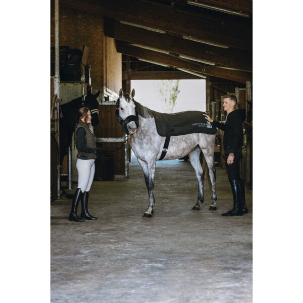 Ryggvärmare Equithème Heated Back Warmer | Svart