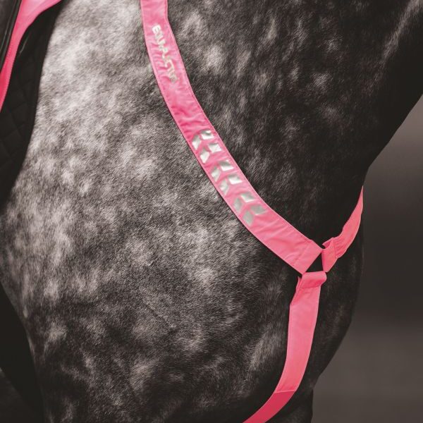Reflex Equi-Flector® Brösta | Rosa