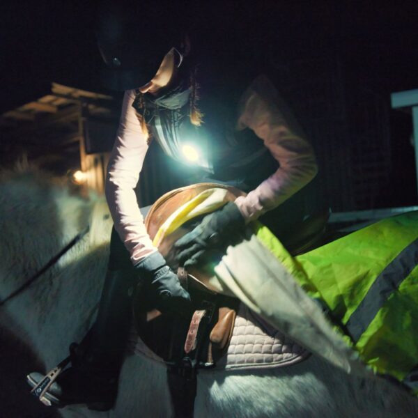 Meolinq Light 01