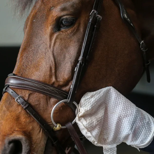 Engångshandskar Carr & Day & Martin Belvoir Tack Cleaner Mitts