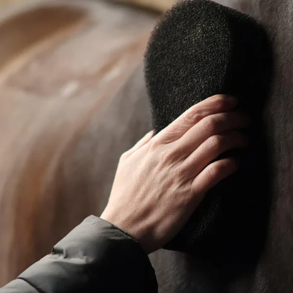 Rengöringssvamp Lamicell Shine Scrubber Sponge