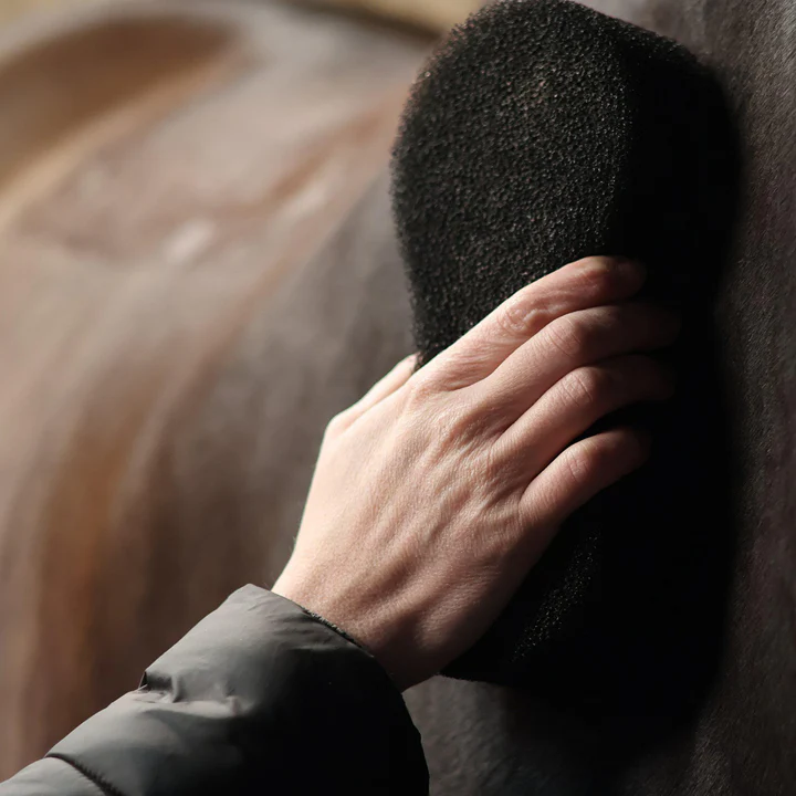 Rengöringssvamp Lamicell Shine Scrubber Sponge