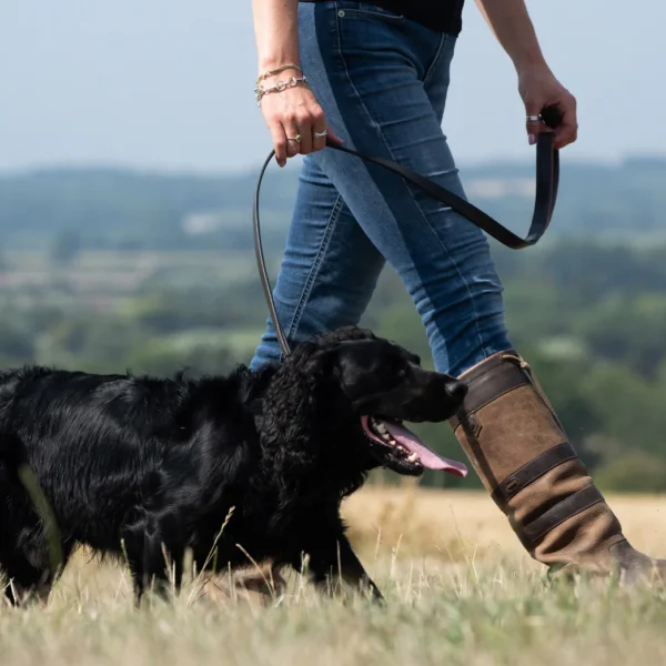 Dubarry Ranger Hundkoppel | Mahogany