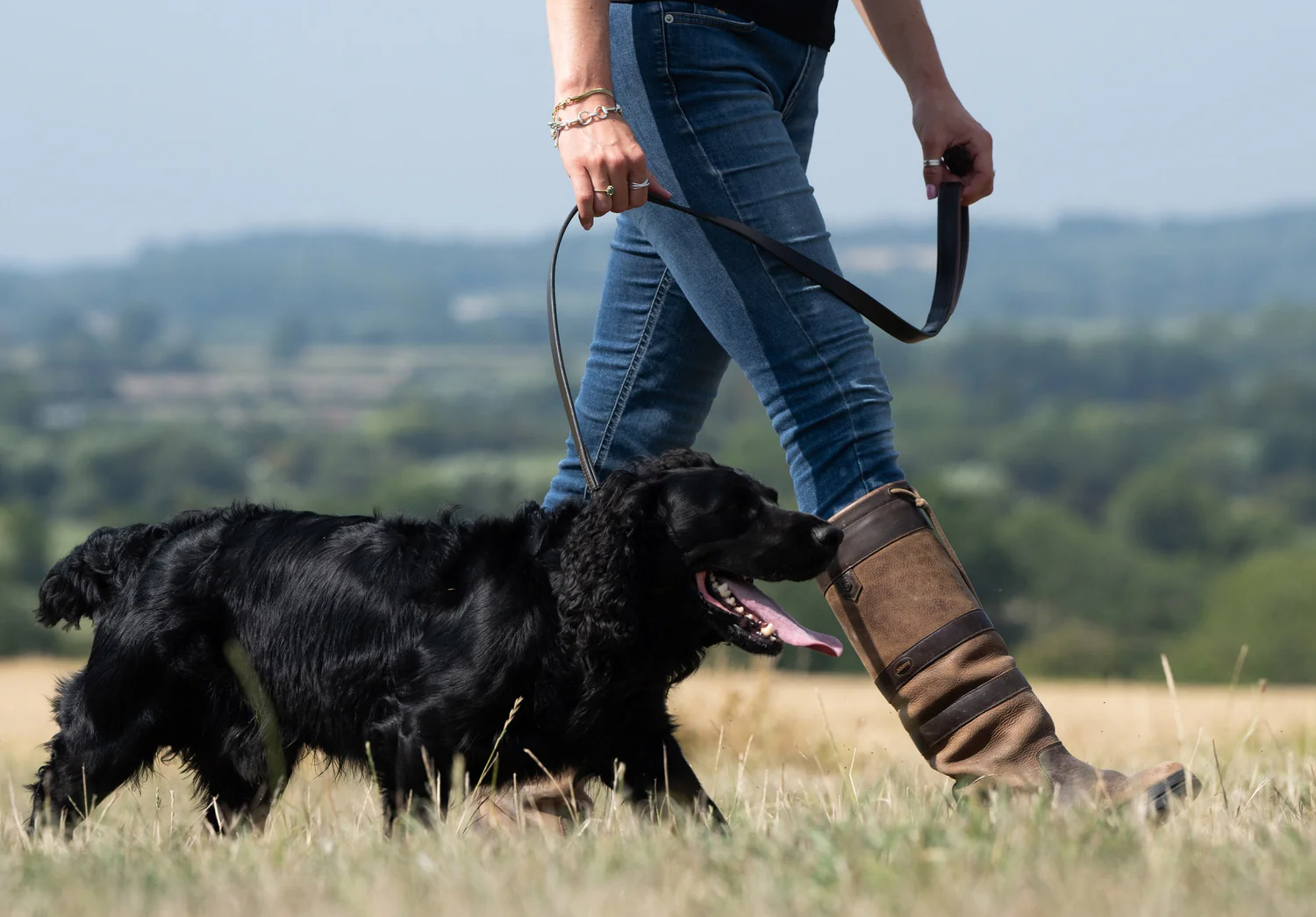 Dubarry Axel Hundkoppel