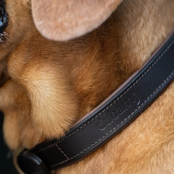 Dubarry Axel Hundhalsband | Mahogany