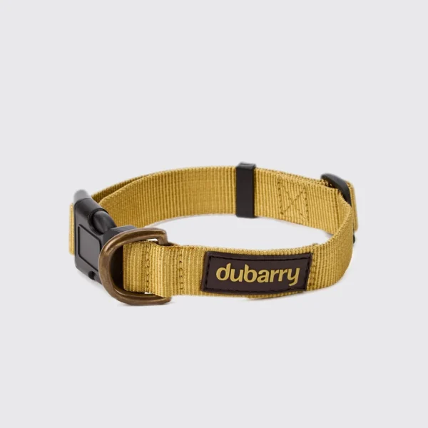 Dubarry Apollo Hundhalsband | Gold