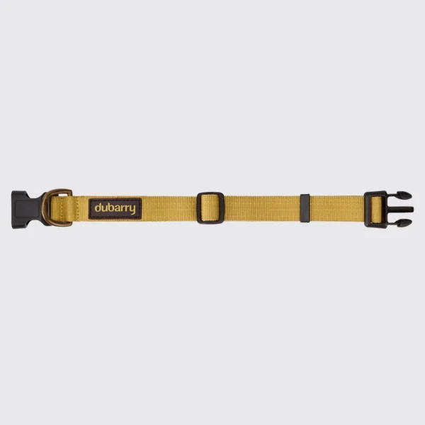 Dubarry Apollo Hundhalsband | Gold