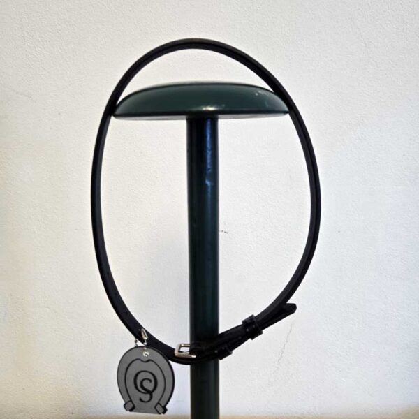 Nosrem Otto Schumacher