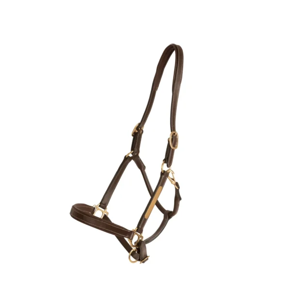 Lädergrimma lippo limited edition