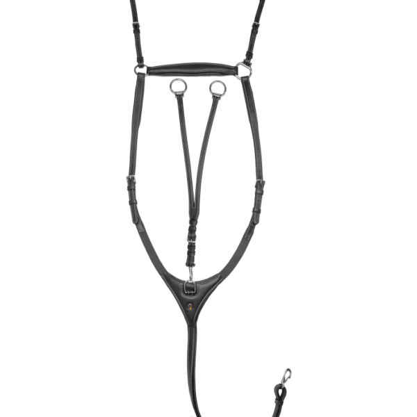 Förbygel waldhausen x-line work