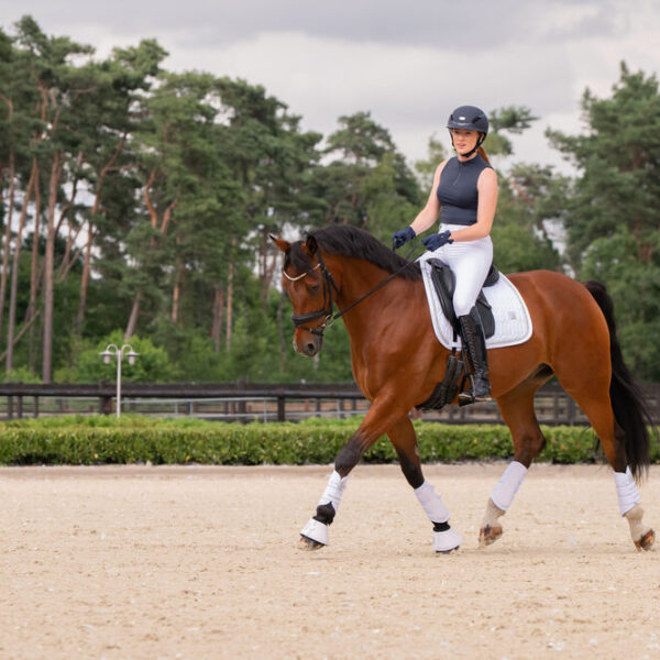 Välkommen till marietorp ridsport 48 Schabrak dressyr eskadron softshell jewel