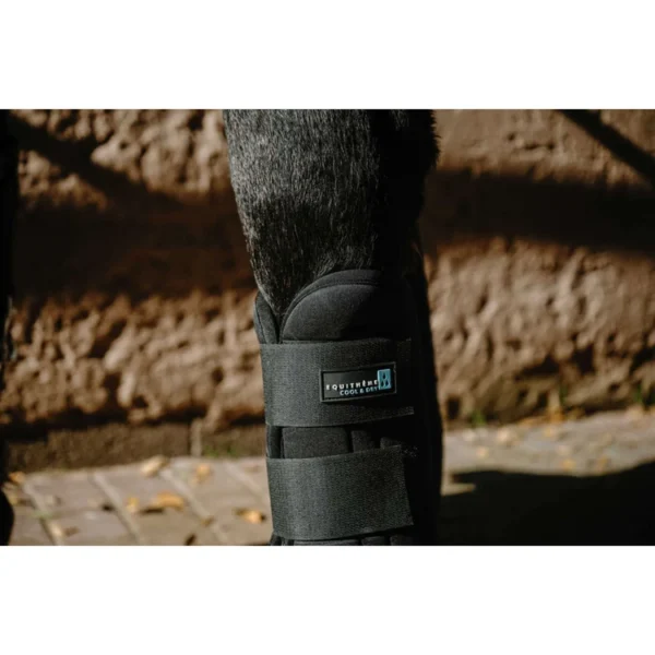 Välkommen till marietorp ridsport 50 Senskydd equithème cool&dry fresh