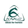 acavallo